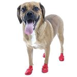 dog boot-petsourcing